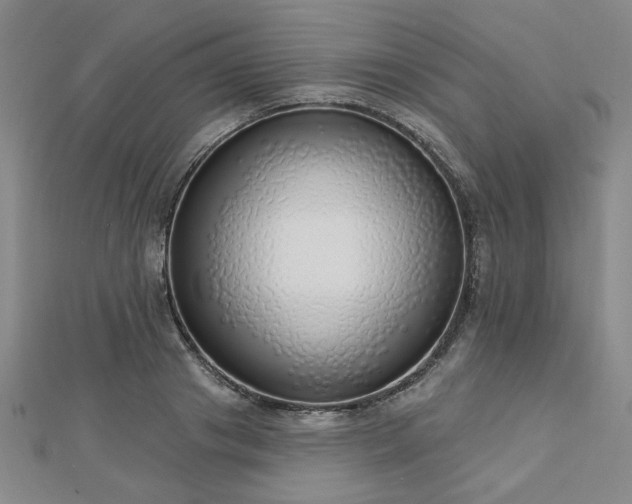 X0000112760841200908271618