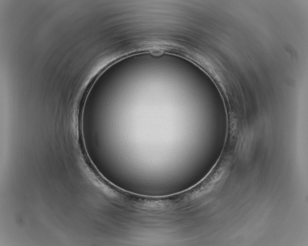 X0000112760843200908271618