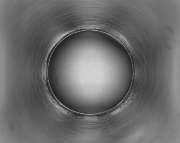 X0000112760844200908271618