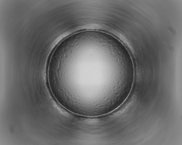 X0000112760845200908271618