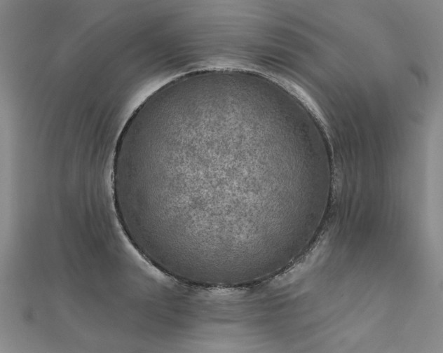 X0000112760847200908271618