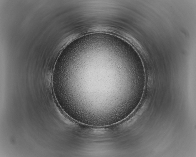 X0000112760849200908271618