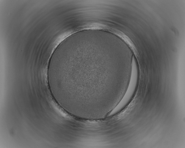 X0000112760850200908271618