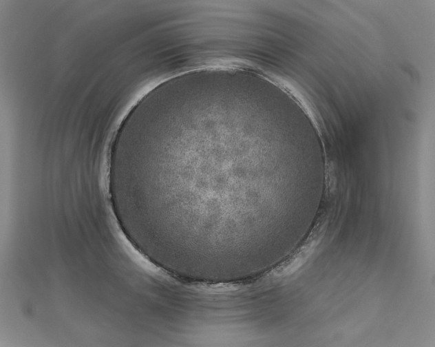 X0000112760851200908271618