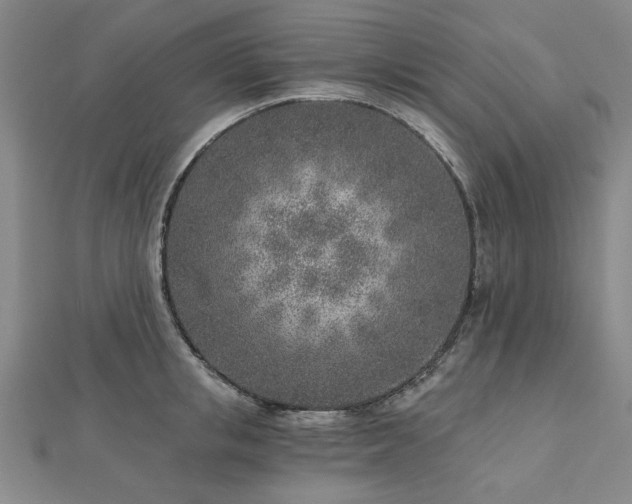 X0000112760853200908271618