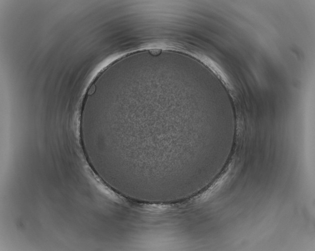 X0000112760854200908271618