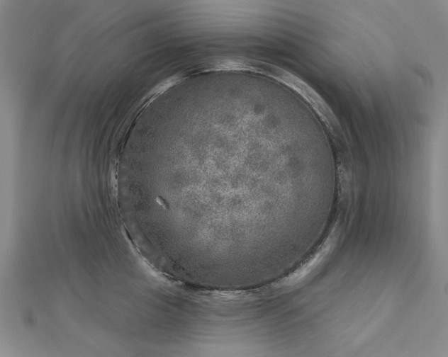 X0000112760857200908271618