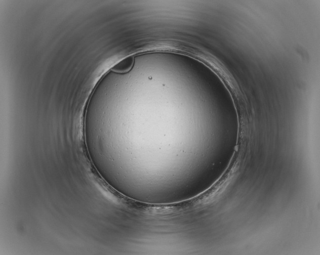 X0000112760858200908271618