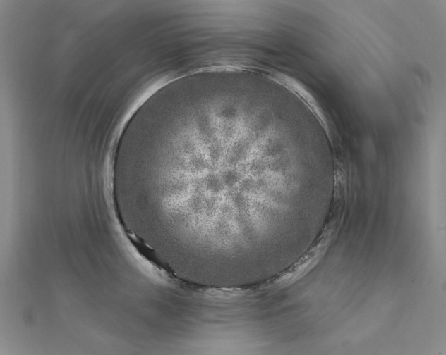X0000112760859200908271618