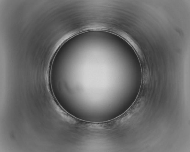 X0000112760861200908271618