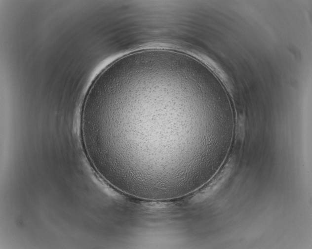 X0000112760862200908271618