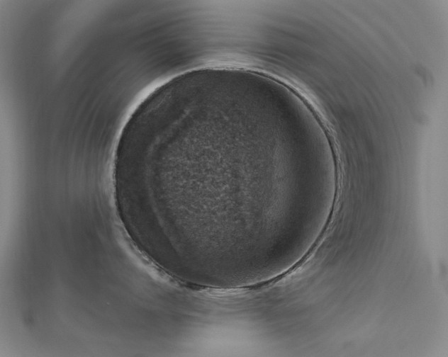X0000112760864200908271618