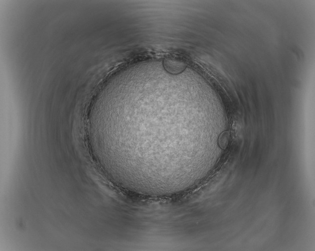 X0000112760865200908271617