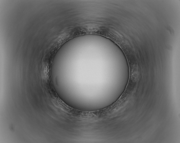 X0000112760866200908271617