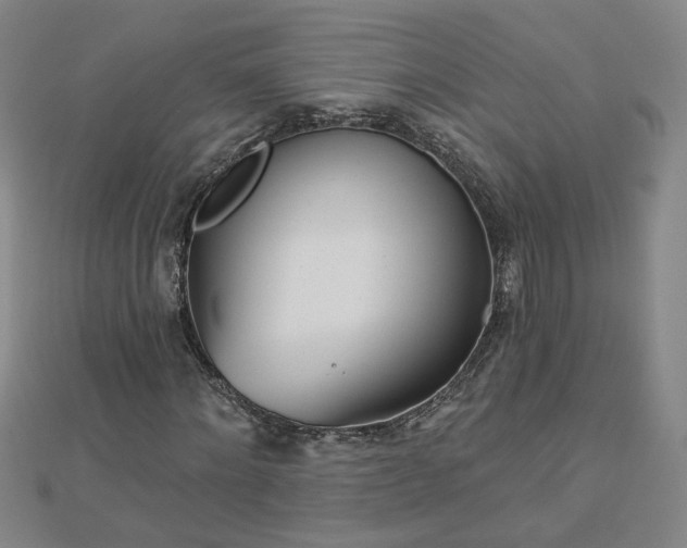 X0000112760868200908271617