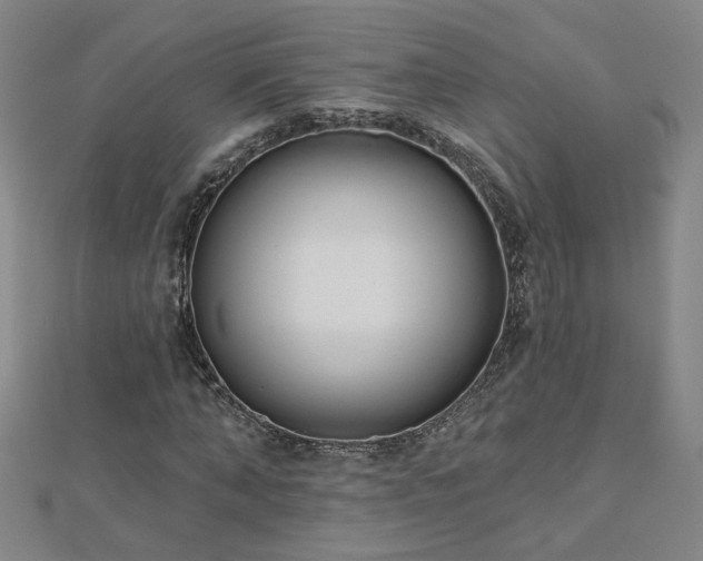 X0000112760870200908271617