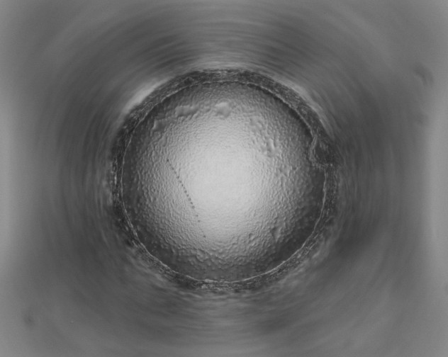 X0000112760871200908271617
