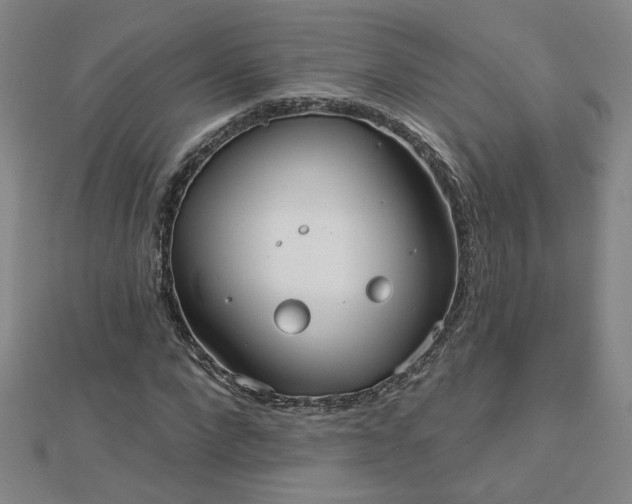 X0000112760872200908271617