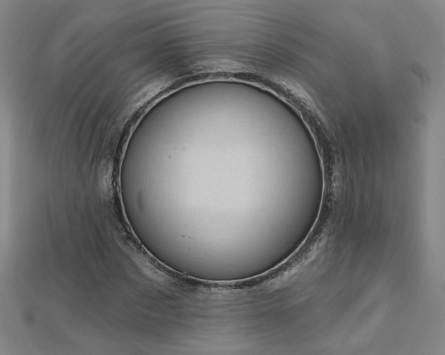 X0000112760873200908271617
