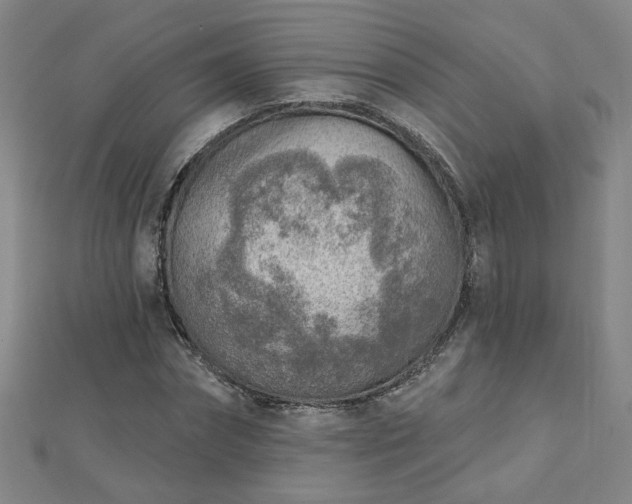 X0000112760874200908271617