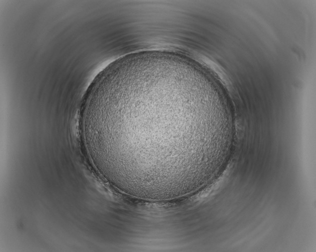 X0000112760875200908271617