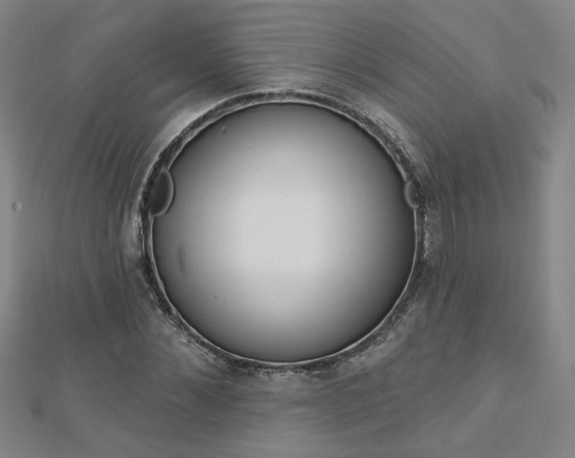 X0000112760876200908271617