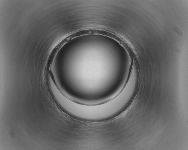 X0000112760877200908271617