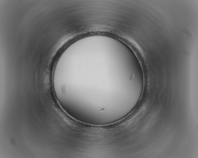 X0000112760878200908271617