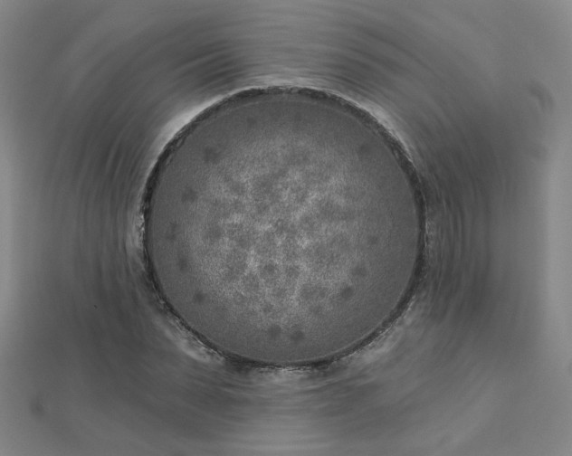 X0000112760879200908271617