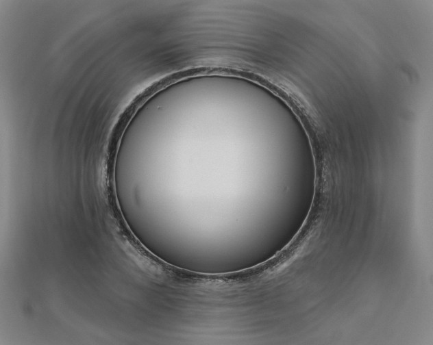 X0000112760880200908271617