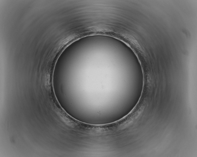 X0000112760881200908271617