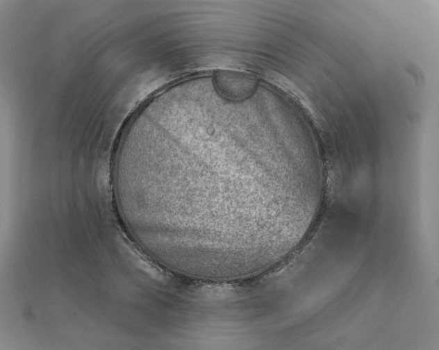 X0000112760882200908271617