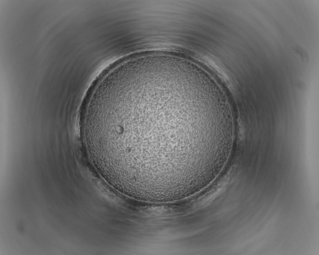 X0000112760883200908271617