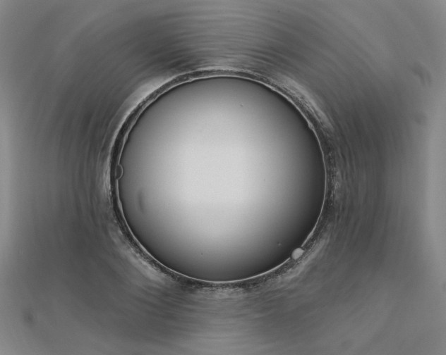 X0000112760884200908271617