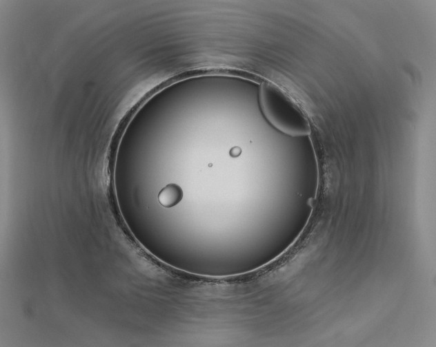 X0000112760885200908271617