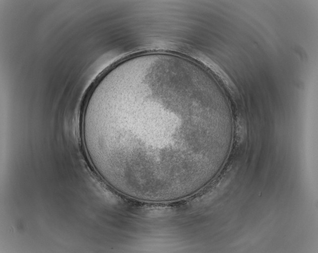 X0000112760886200908271617