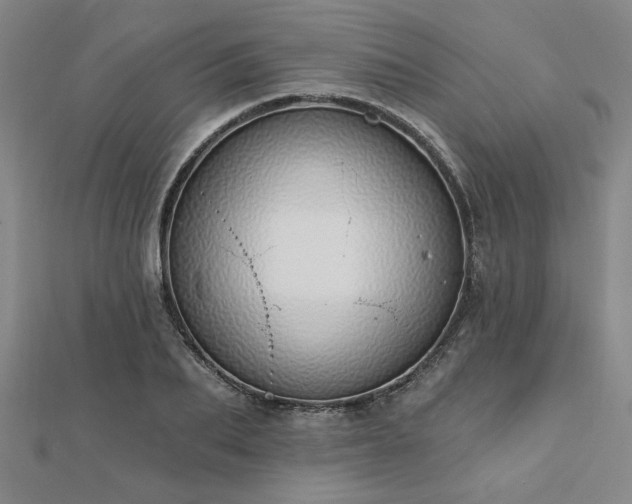 X0000112760887200908271617
