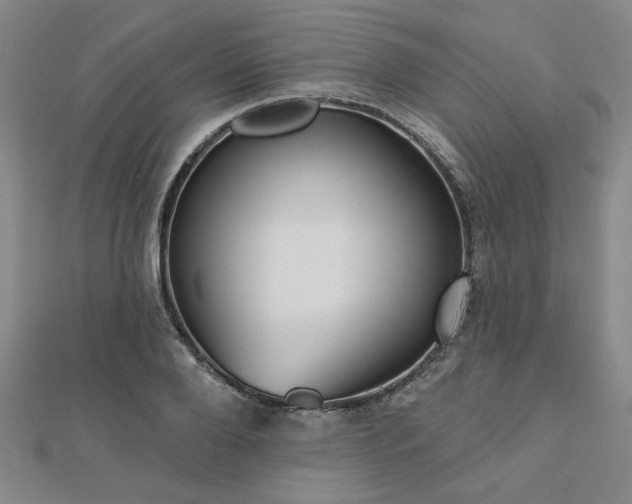 X0000112760888200908271617