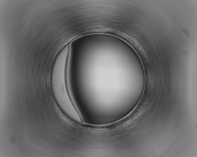 X0000112760889200908271617