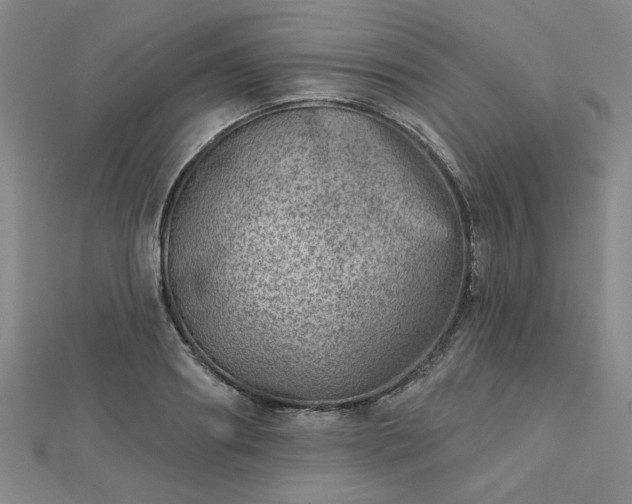 X0000112760890200908271617