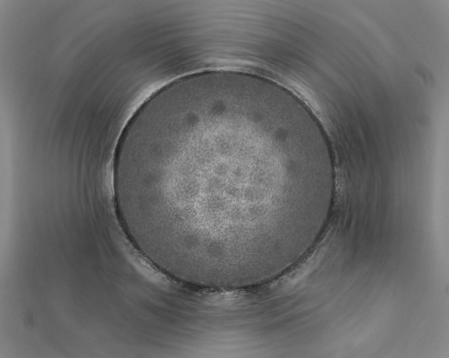 X0000112760891200908271617