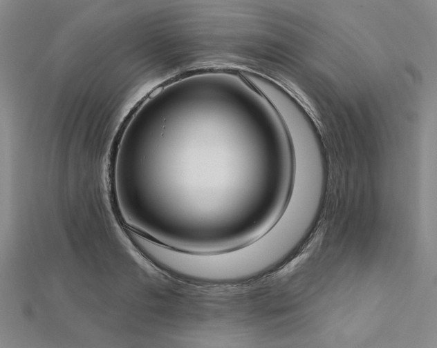 X0000112760893200908271617