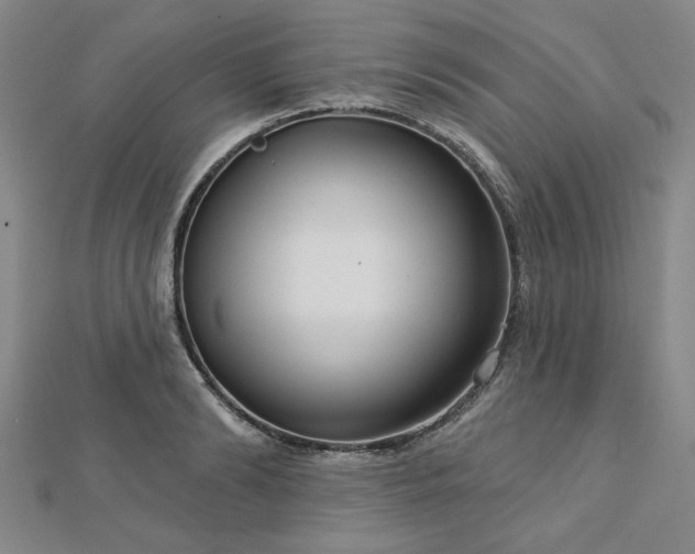 X0000112760894200908271617