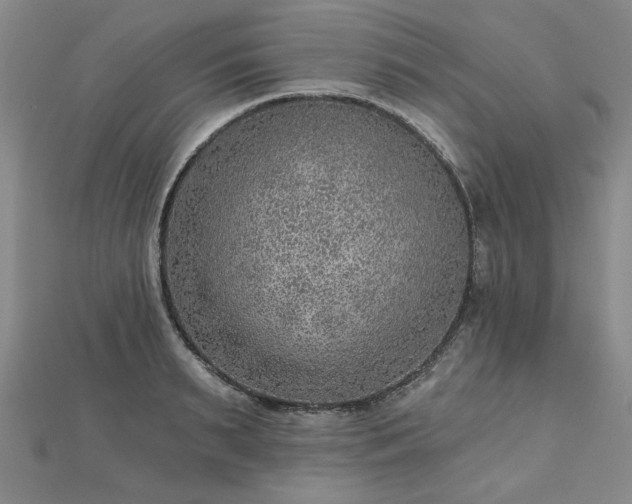 X0000112760895200908271617