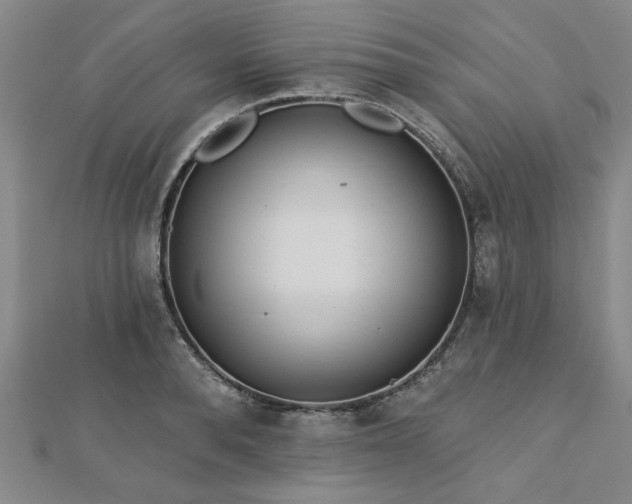 X0000112760896200908271617