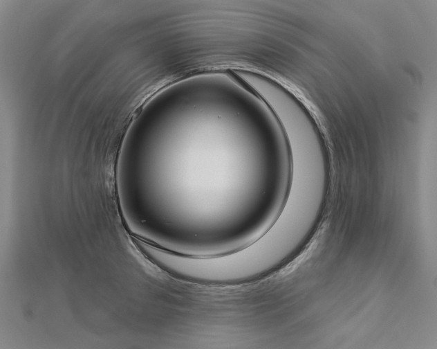 X0000112760897200908271617
