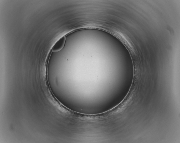 X0000112760900200908271617