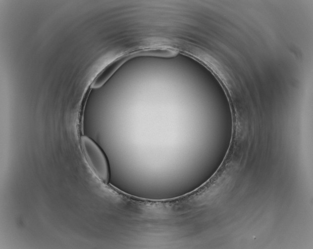 X0000112760901200908271617