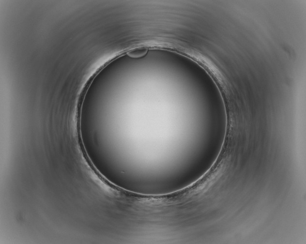 X0000112760902200908271617