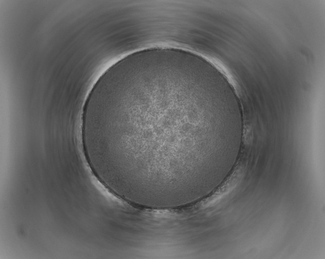 X0000112760903200908271617